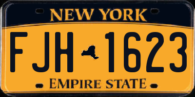NY license plate FJH1623