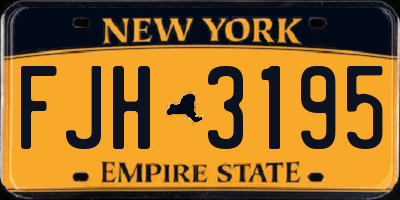 NY license plate FJH3195