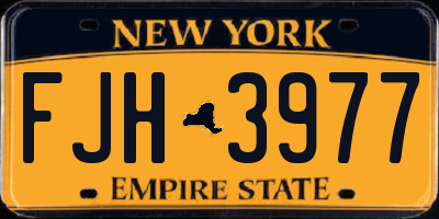 NY license plate FJH3977