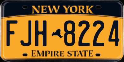 NY license plate FJH8224