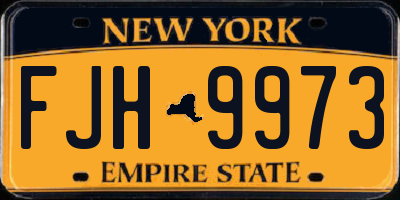 NY license plate FJH9973