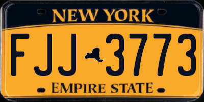 NY license plate FJJ3773