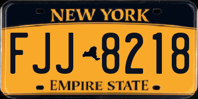 NY license plate FJJ8218