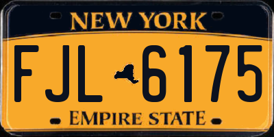NY license plate FJL6175