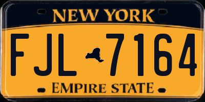 NY license plate FJL7164
