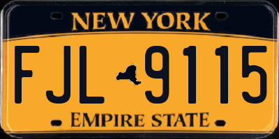 NY license plate FJL9115