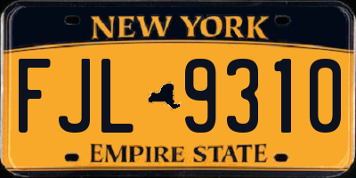 NY license plate FJL9310