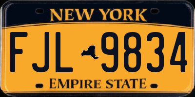 NY license plate FJL9834