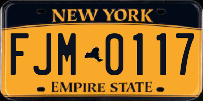 NY license plate FJM0117