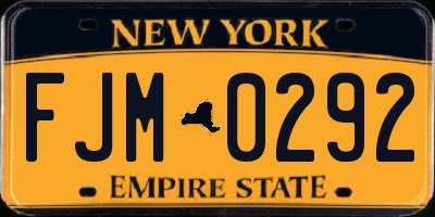 NY license plate FJM0292
