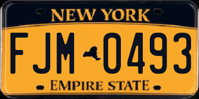 NY license plate FJM0493