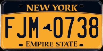 NY license plate FJM0738