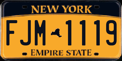 NY license plate FJM1119