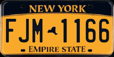 NY license plate FJM1166