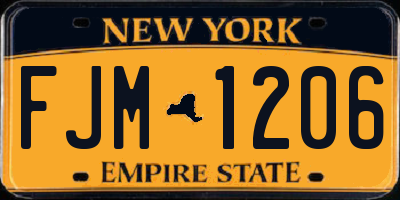 NY license plate FJM1206