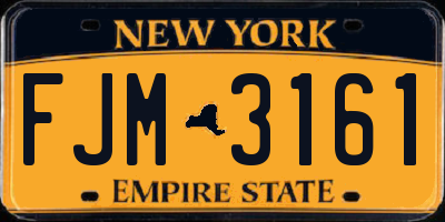 NY license plate FJM3161