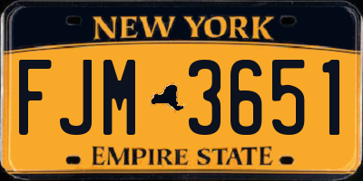 NY license plate FJM3651