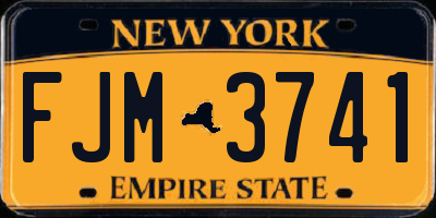 NY license plate FJM3741