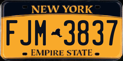 NY license plate FJM3837