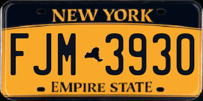 NY license plate FJM3930