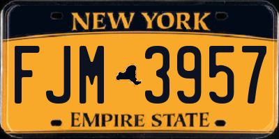 NY license plate FJM3957