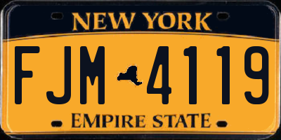 NY license plate FJM4119