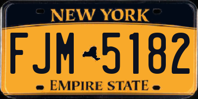 NY license plate FJM5182