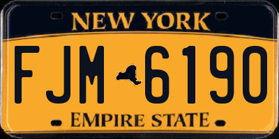 NY license plate FJM6190
