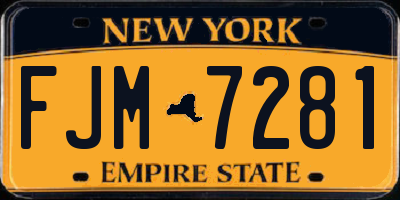 NY license plate FJM7281