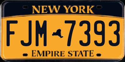 NY license plate FJM7393