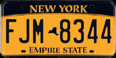 NY license plate FJM8344