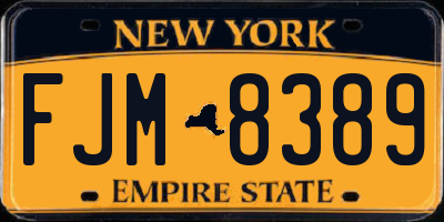 NY license plate FJM8389