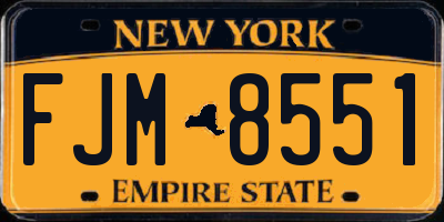NY license plate FJM8551
