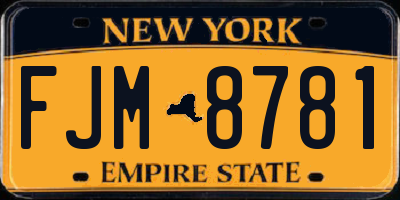 NY license plate FJM8781