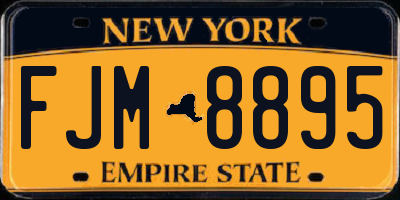 NY license plate FJM8895