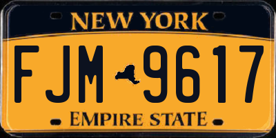 NY license plate FJM9617