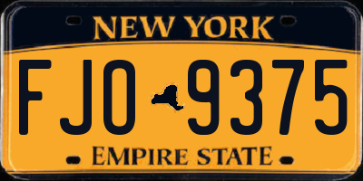 NY license plate FJO9375