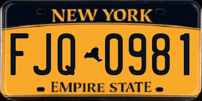 NY license plate FJQ0981