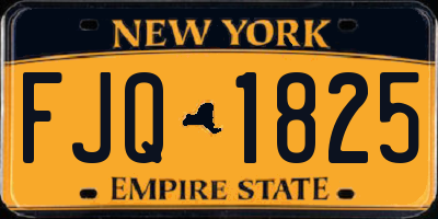 NY license plate FJQ1825