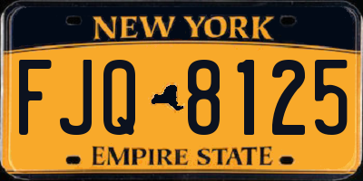 NY license plate FJQ8125