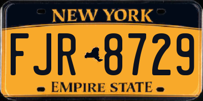 NY license plate FJR8729