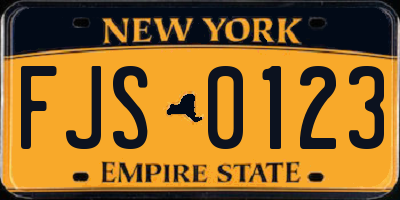 NY license plate FJS0123