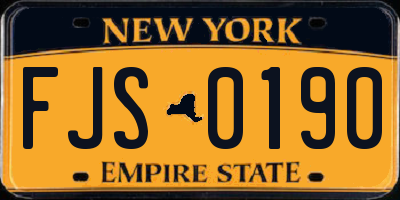 NY license plate FJS0190
