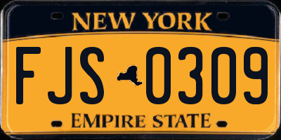 NY license plate FJS0309