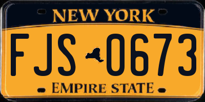 NY license plate FJS0673