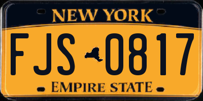 NY license plate FJS0817