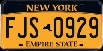 NY license plate FJS0929