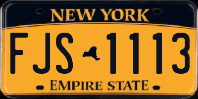 NY license plate FJS1113