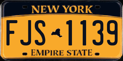 NY license plate FJS1139