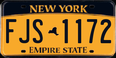NY license plate FJS1172